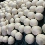 Wholesale Wool Dryer Balls